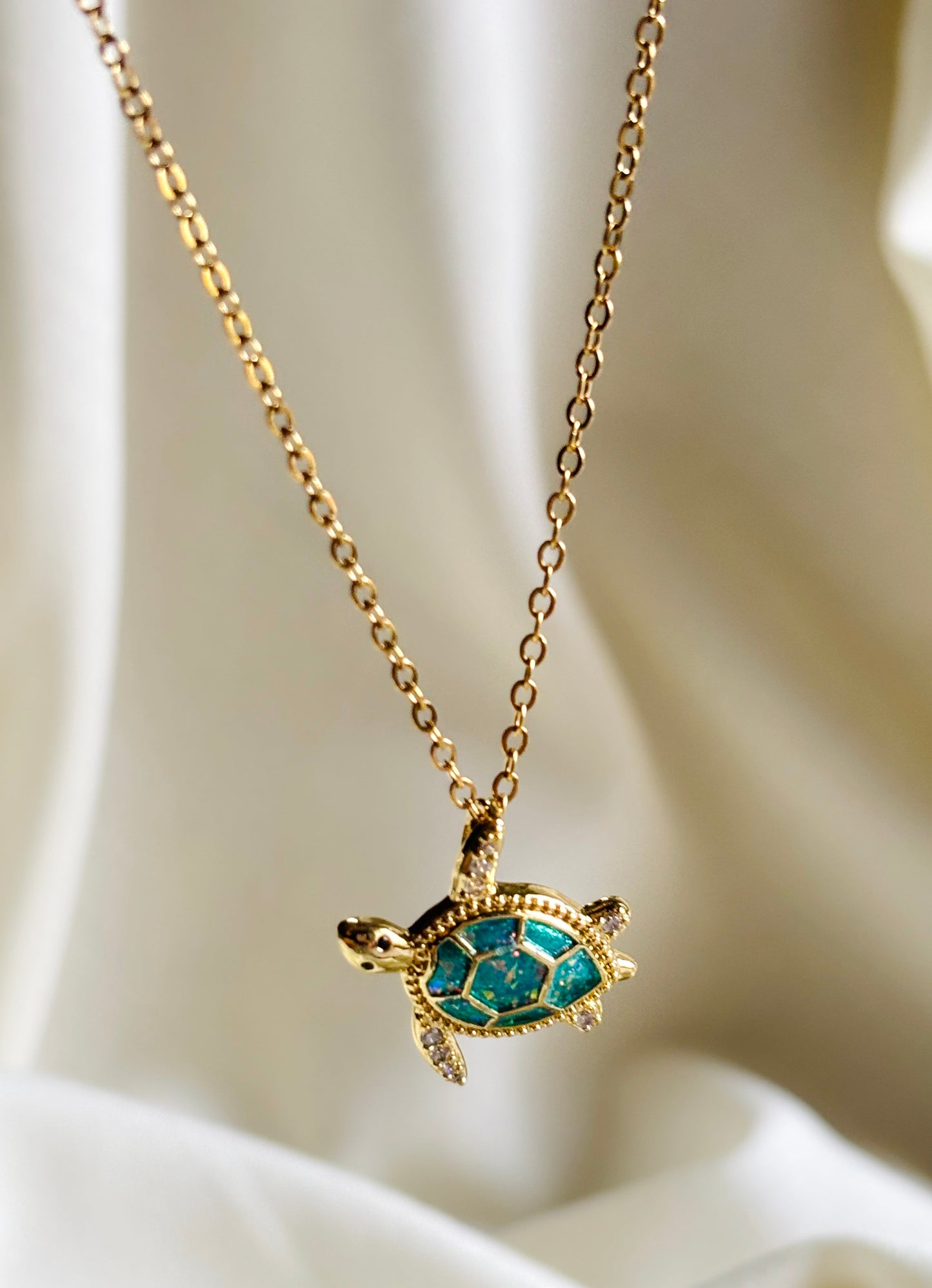 Aqua Turtle